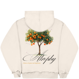 Signature – Orange Tree 2.0